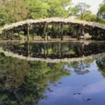 206）伊達博物館館長 本田先生の執筆記事。宇和島の歴史の節目に立ち会った天赦園、築庭の背景　